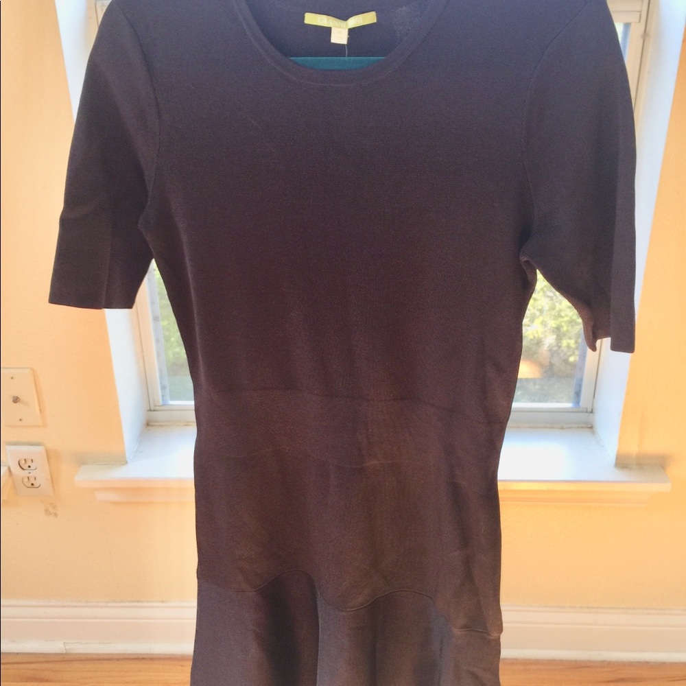 Gianni Bini Rich Brown A-Line Dress, NWT - Picture 2 of 7